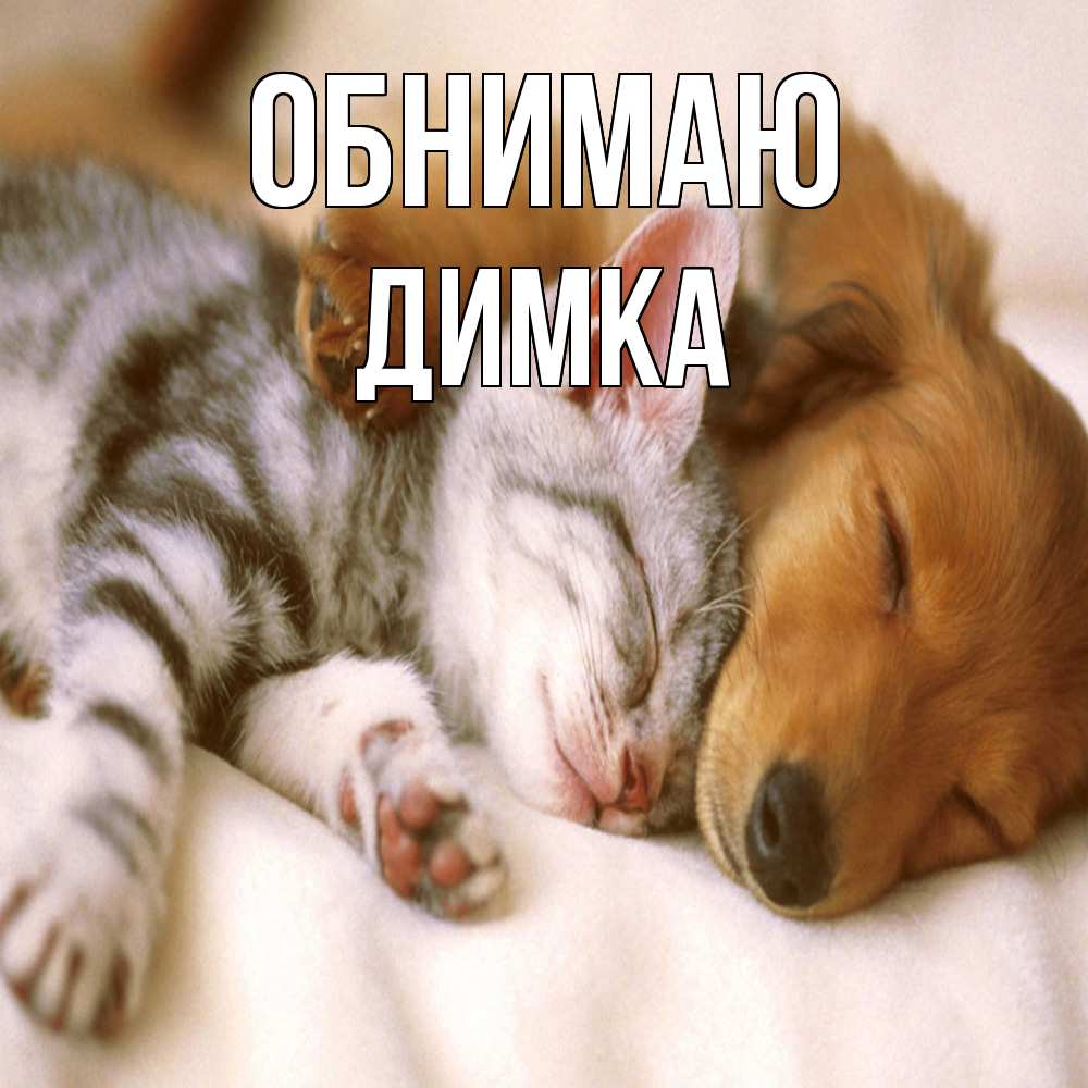 Открытка  с именем. ДИМКА, Обнимаю  
