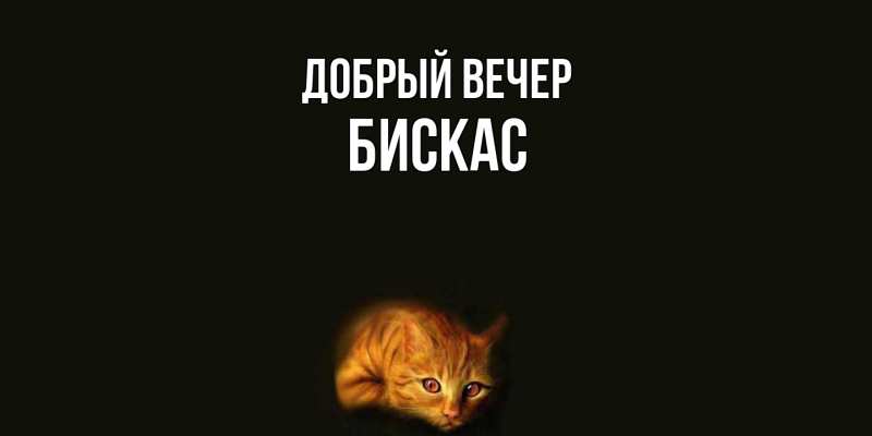 Картинка Добрый вечер, Бискас