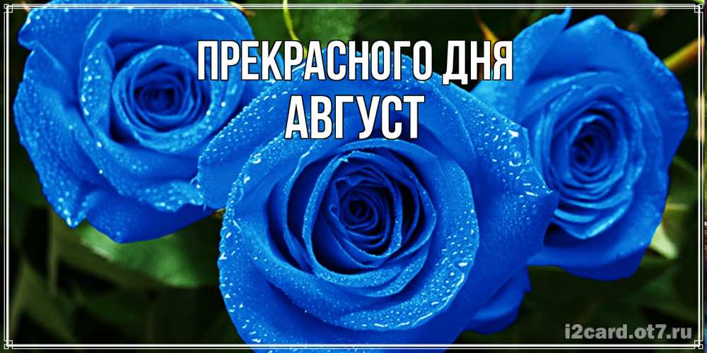 Открытка  с именем. Август, Прекрасного дня  
