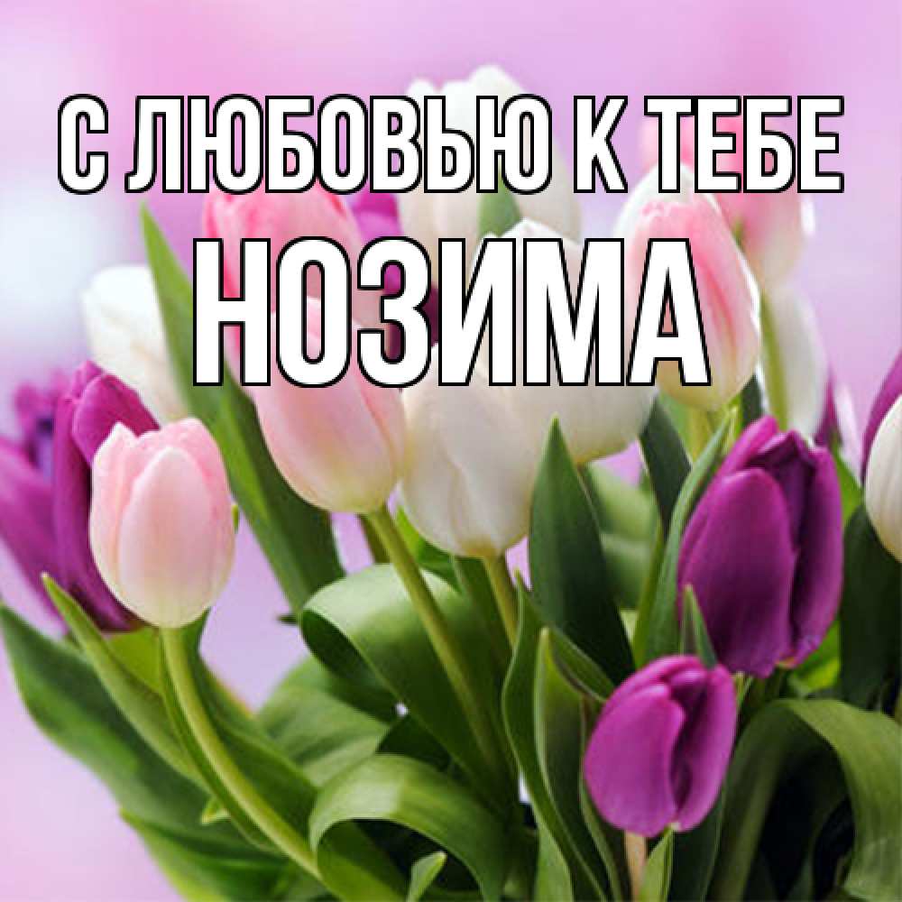 Открытка  с именем. НОЗИМА, С любовью к тебе  