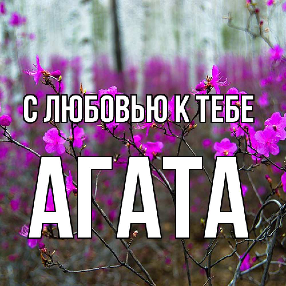 Открытка  с именем. Агата, С любовью к тебе  