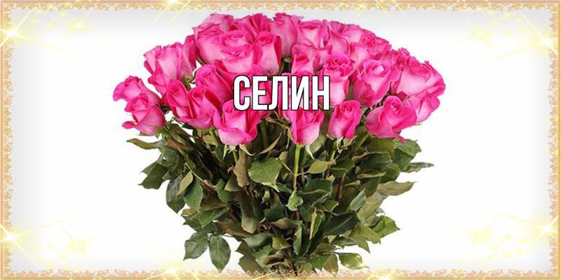 Открытка с именем, Селин, 