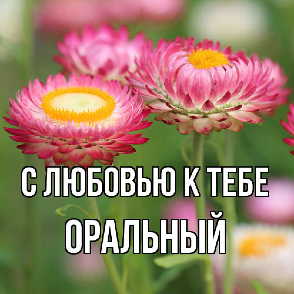 Открытка  с именем. ОРАЛЬНЫЙ, С любовью к тебе  