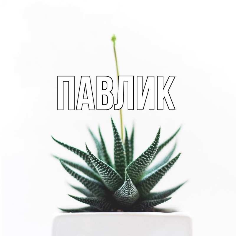 Картинка  с именем , Павлик
