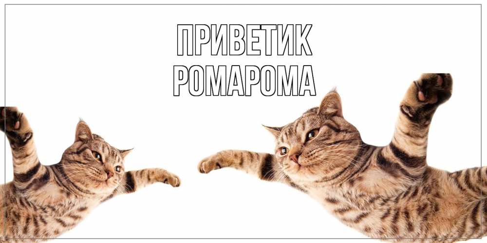 Открытка  с именем. РомаРома, приветик  