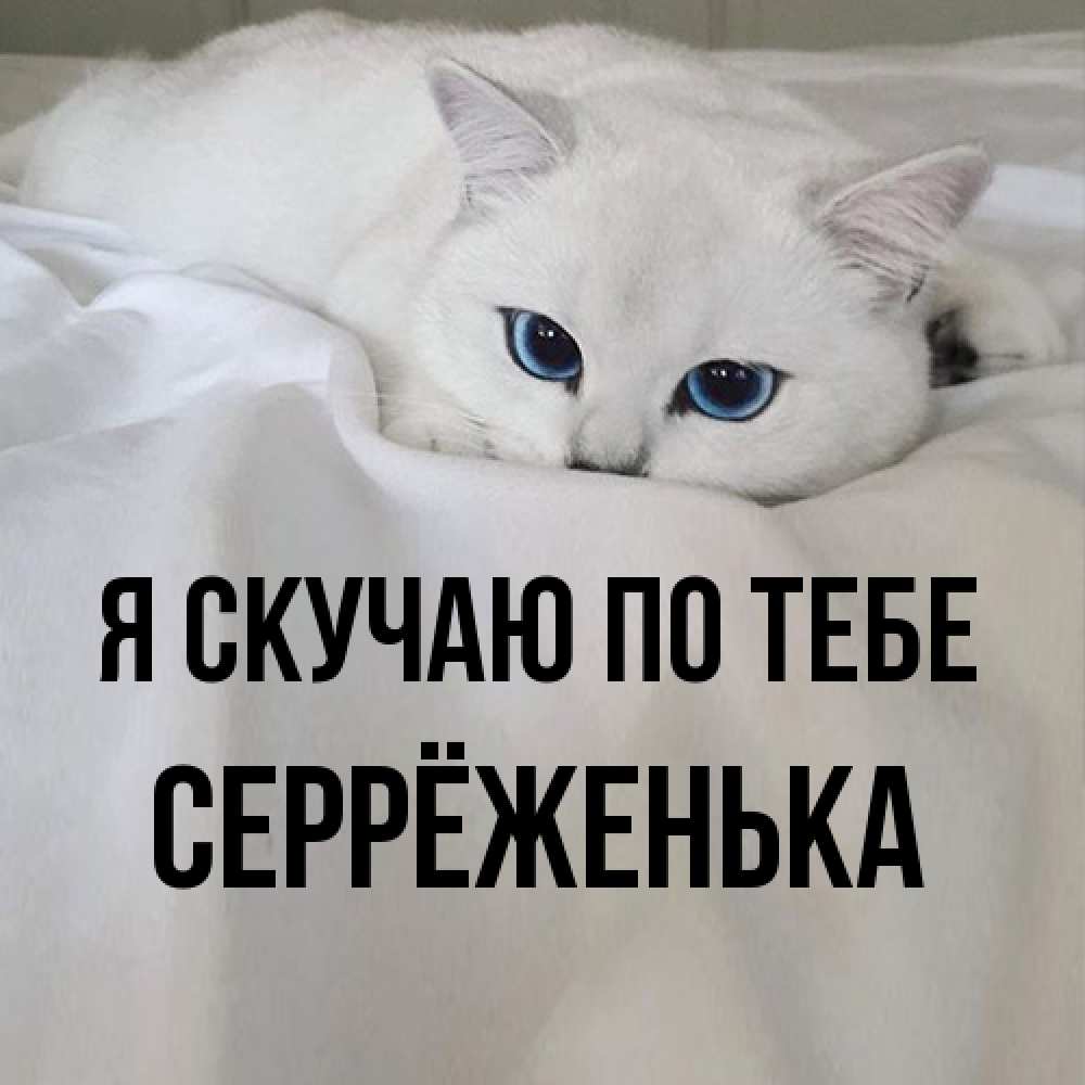 Открытка  с именем. Серрёженька, Я скучаю по тебе  
