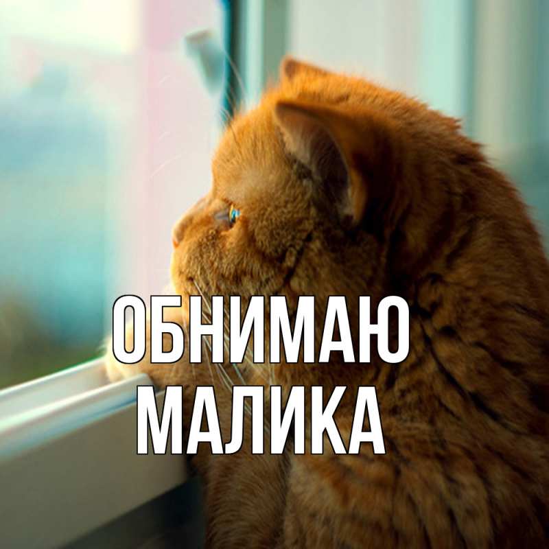 Картинка Обнимаю, Малика