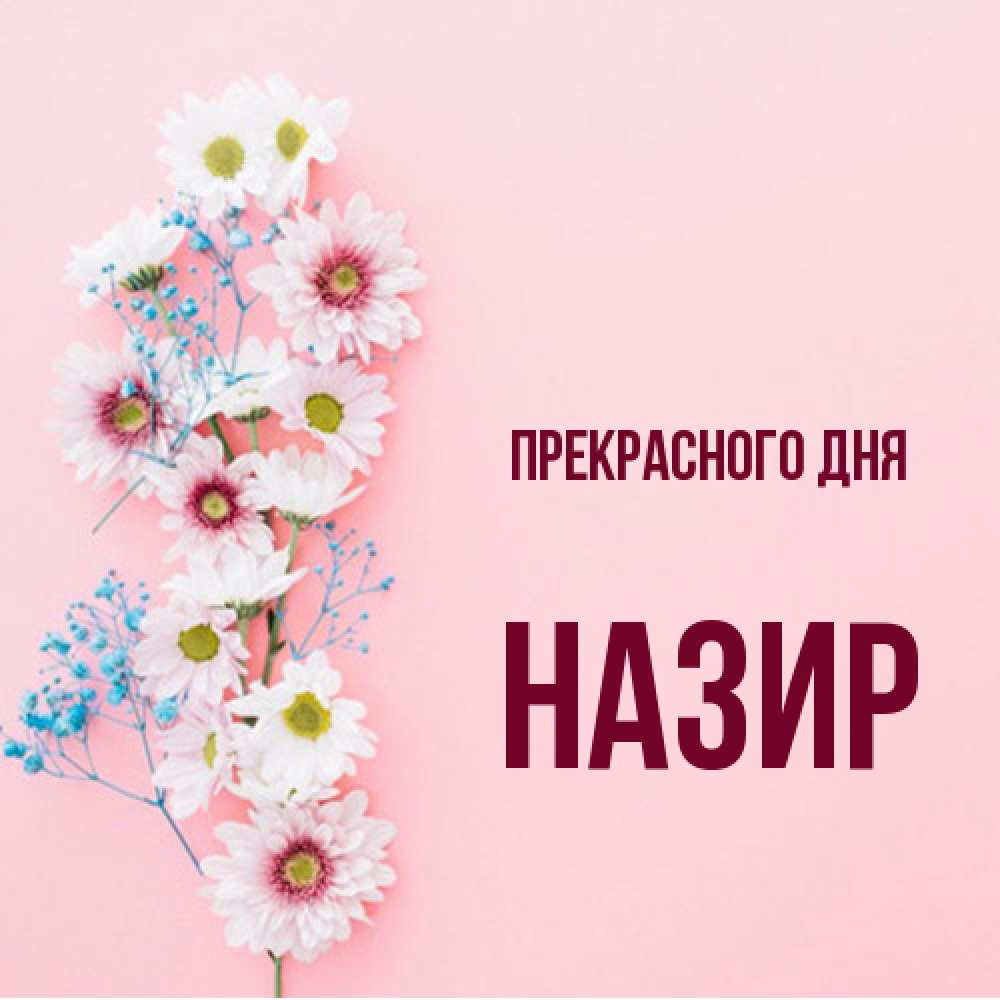 Открытка  с именем. Назир, Прекрасного дня  