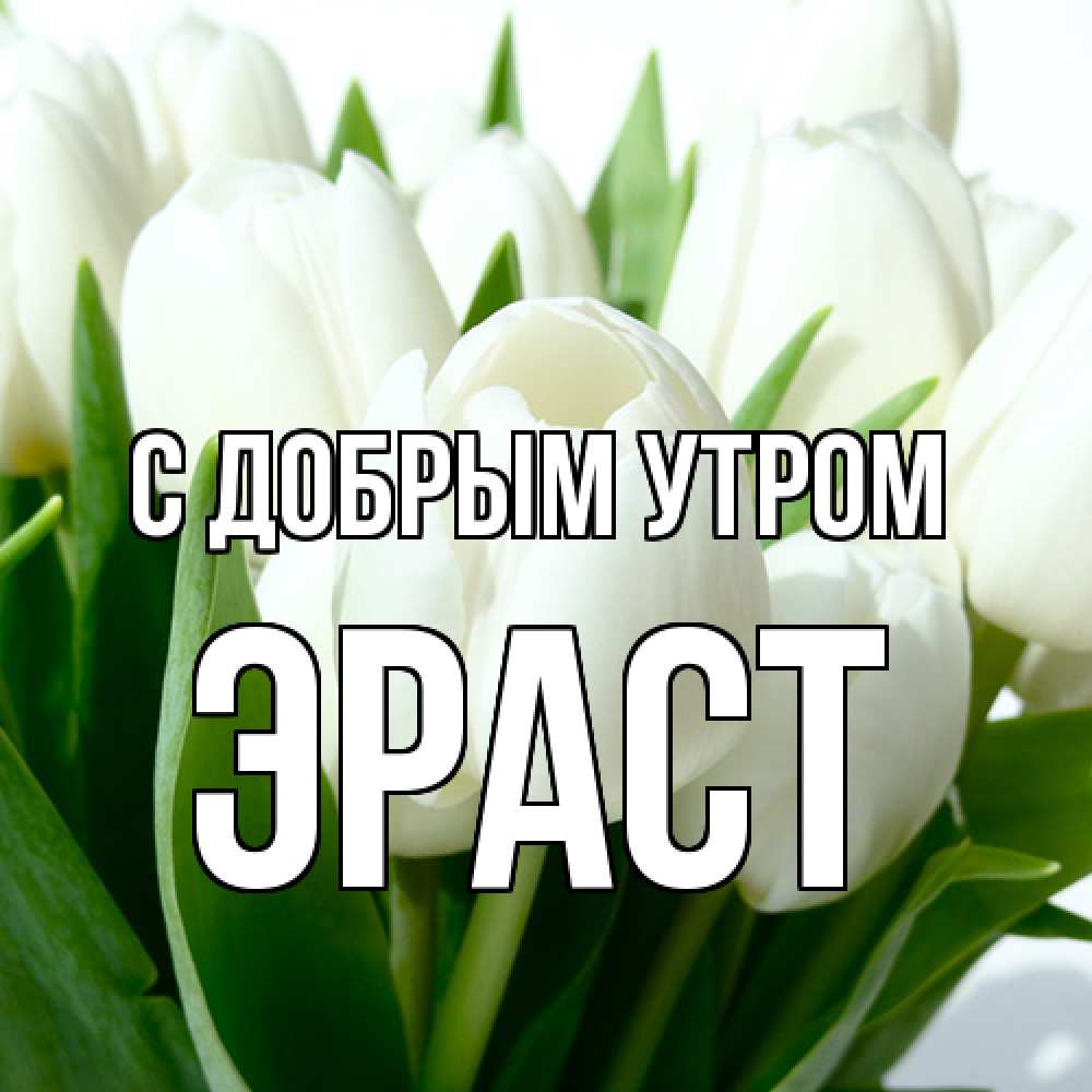 Открытка  с именем. Эраст, С добрым утром  