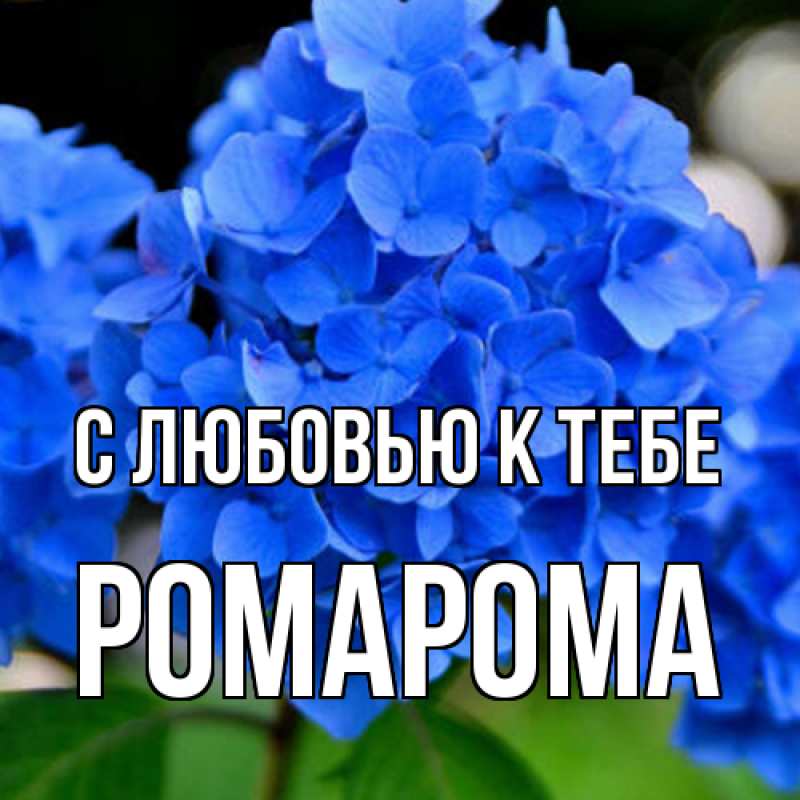Картинка С любовью к тебе, РомаРома