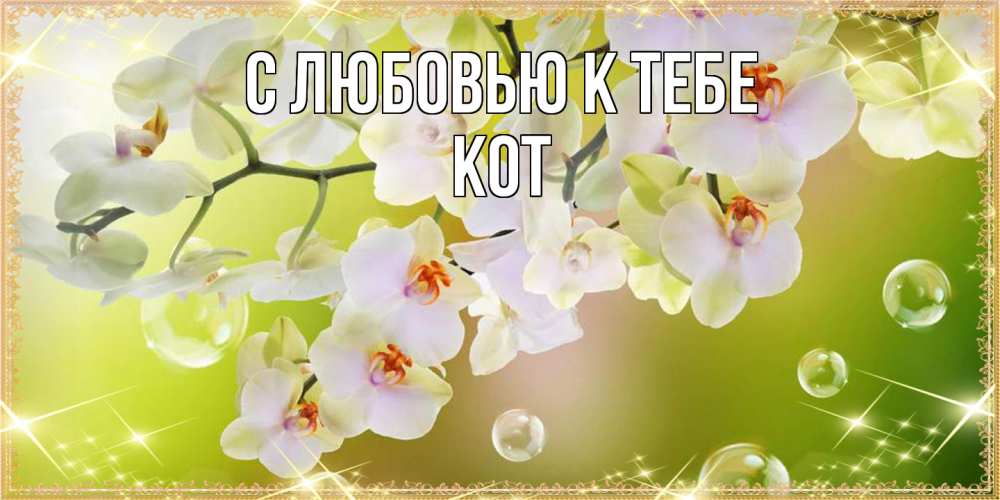 Открытка  с именем. КОТ, С любовью к тебе  
