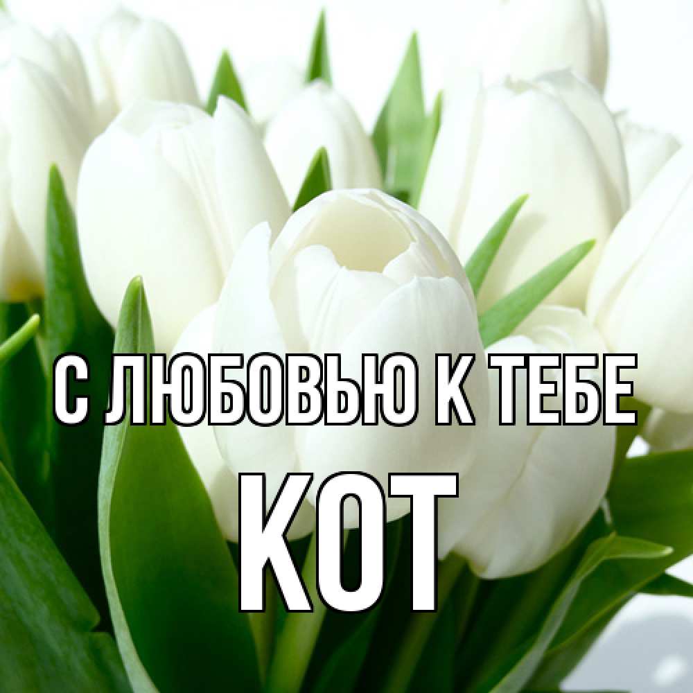 Открытка  с именем. КОТ, С любовью к тебе  