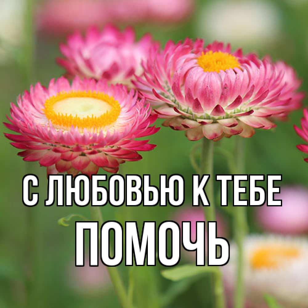 Открытка  с именем. Помочь, С любовью к тебе  