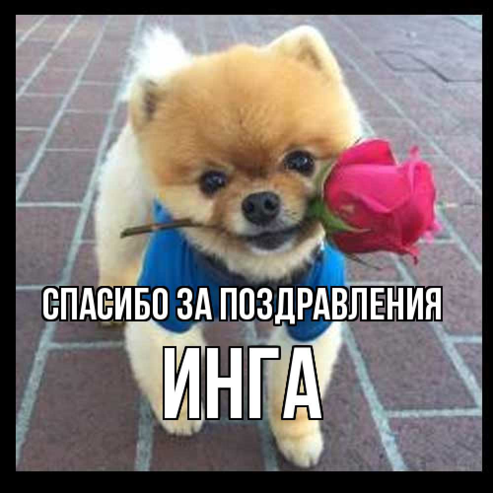 Открытка  с именем. Инга, Спасибо за поздравления  