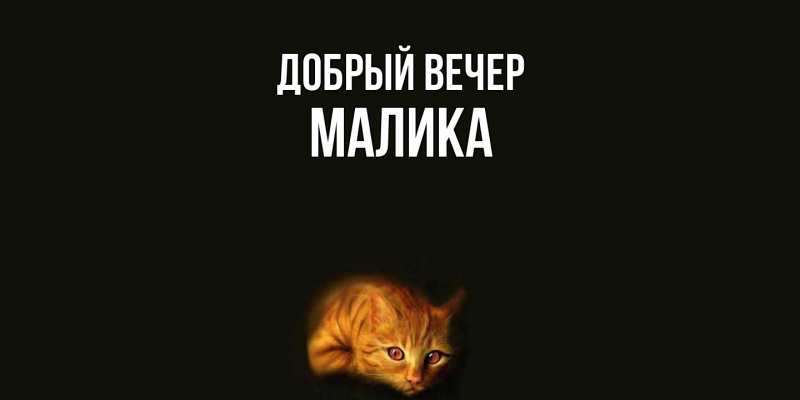 Картинка Добрый вечер, Малика