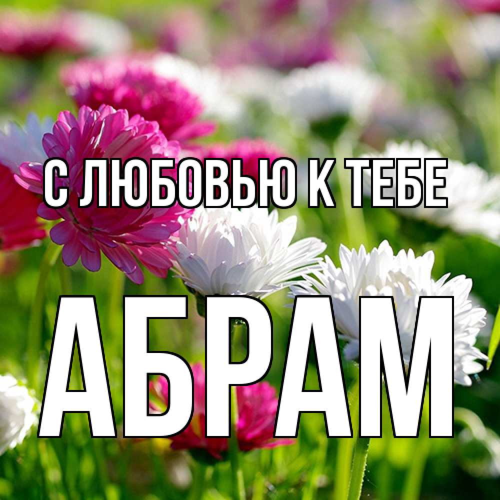 Открытка  с именем. Абрам, С любовью к тебе  