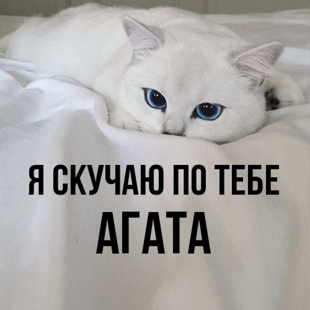 Открытка  с именем. Агата, Я скучаю по тебе  