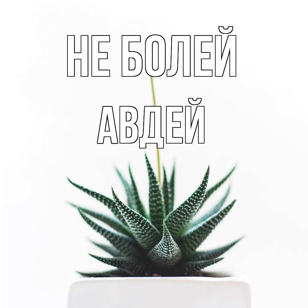 Открытка  с именем. Авдей, Не болей  