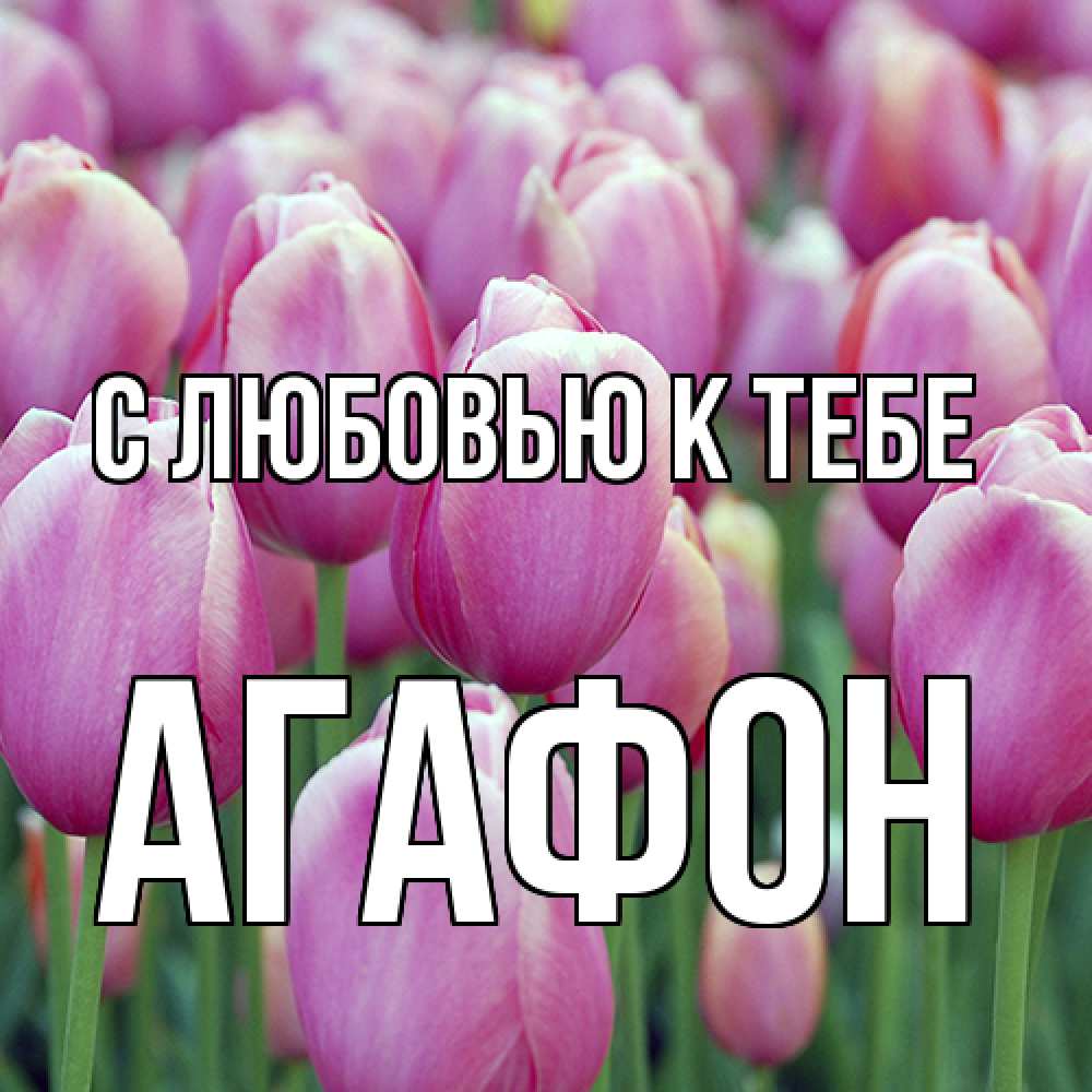 Открытка  с именем. Агафон, С любовью к тебе  