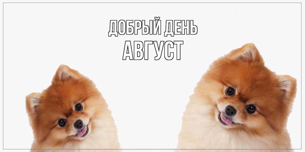 Открытка  с именем. Август, Добрый день  