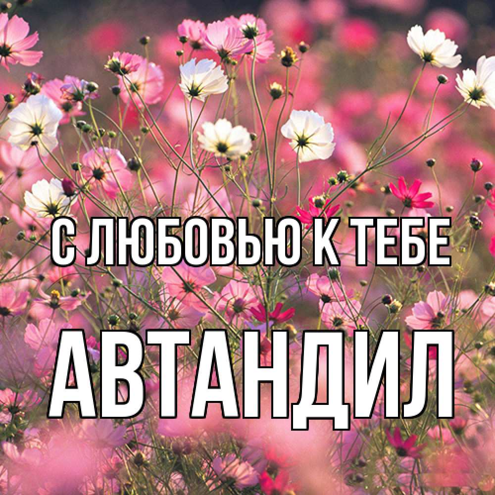 Открытка  с именем. Автандил, С любовью к тебе  