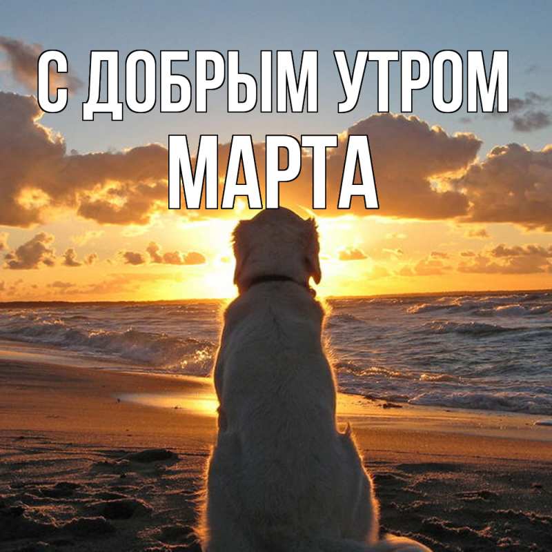 Картинка С добрым утром, Марта