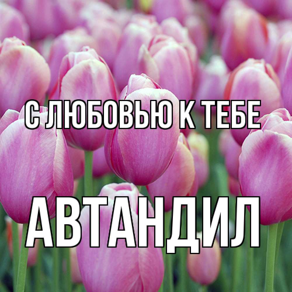 Открытка  с именем. Автандил, С любовью к тебе  