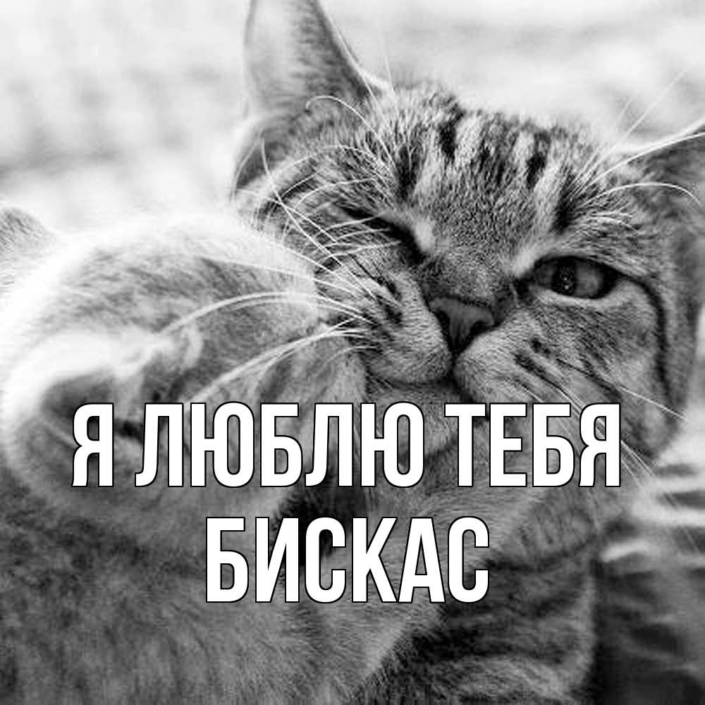 Открытка  с именем. Бискас, Я люблю тебя  