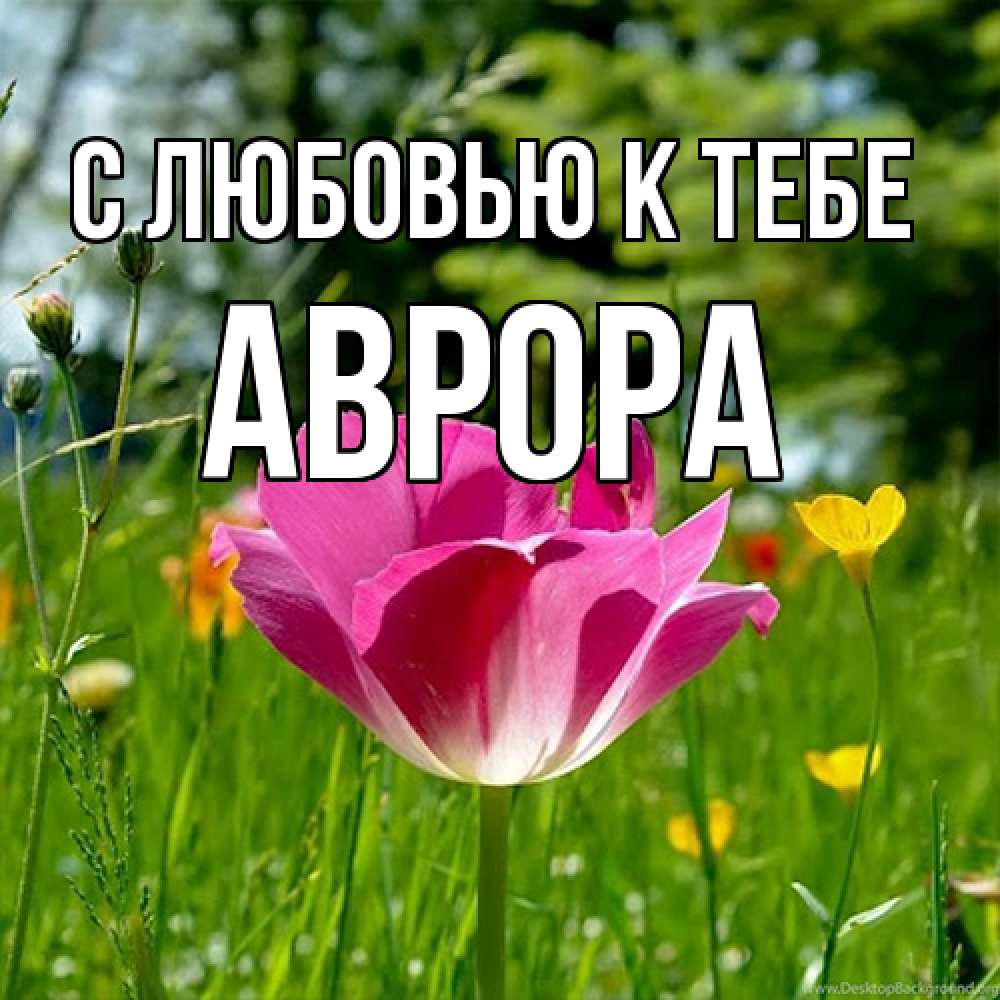 Открытка  с именем. Аврора, С любовью к тебе  