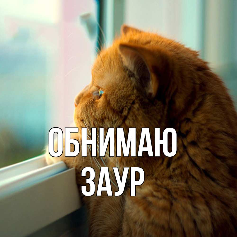 Открытка  с именем. Заур, Обнимаю  