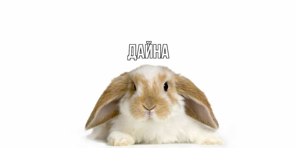 Открытка  с именем. Дайна, Главная  