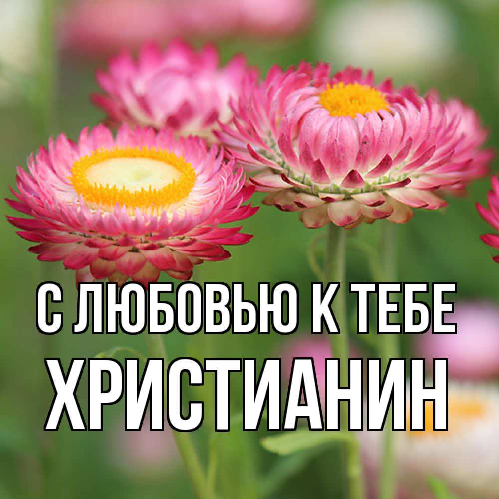 Открытка  с именем. Христианин, С любовью к тебе  