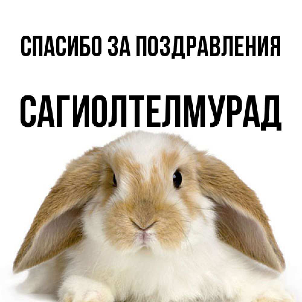Открытка  с именем. САГИОЛТЕЛМУРАД, Спасибо за поздравления  