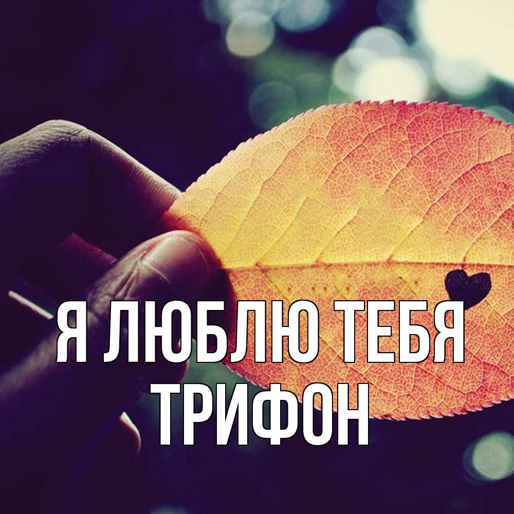 Открытка  с именем. Трифон, Я люблю тебя  