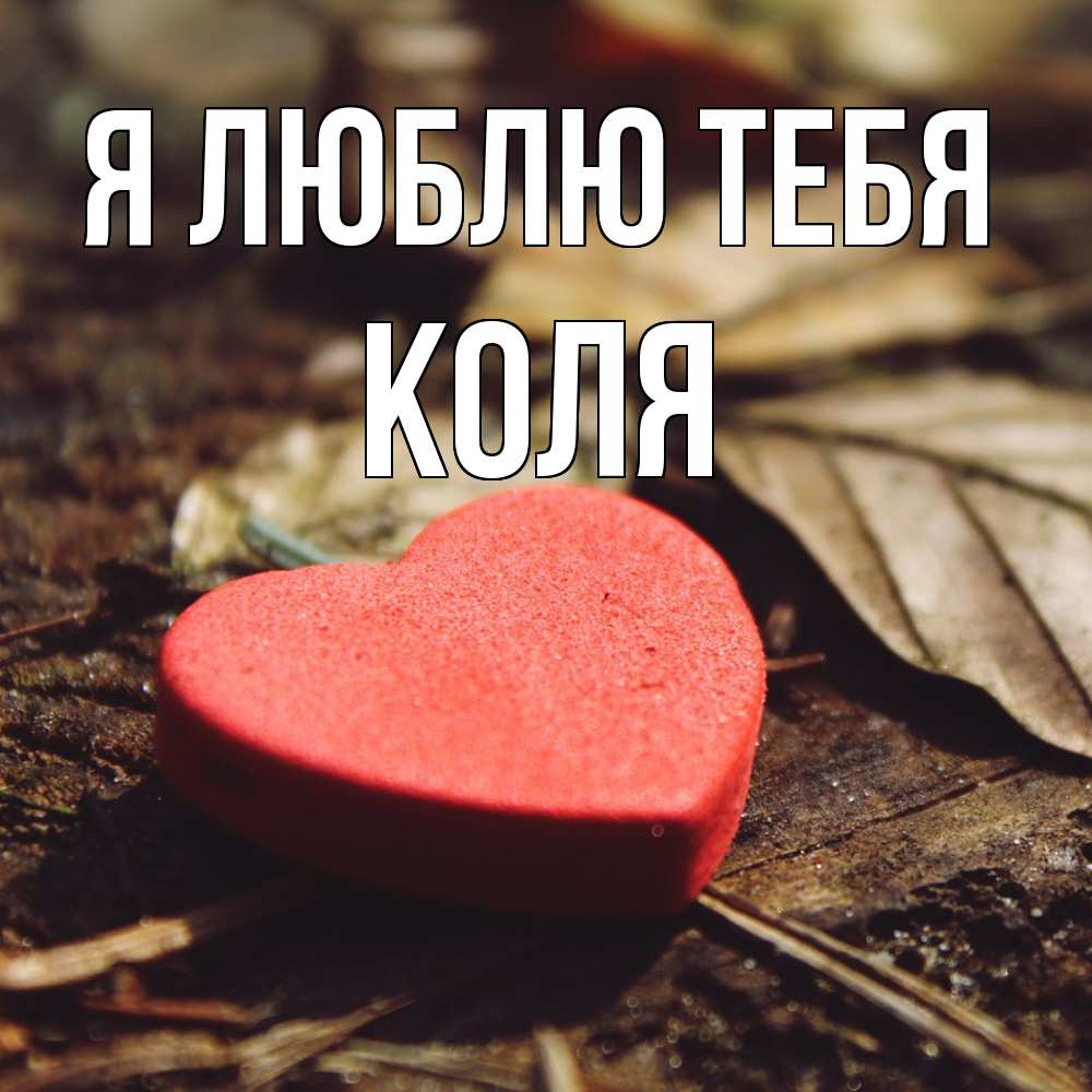 Открытка  с именем. коля, Я люблю тебя  