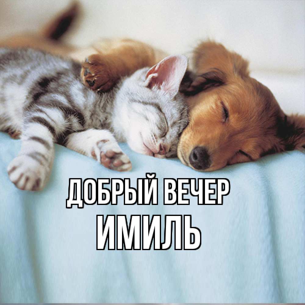 Открытка  с именем. Имиль, Добрый вечер  