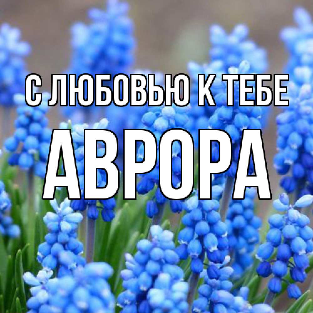 Открытка  с именем. Аврора, С любовью к тебе  
