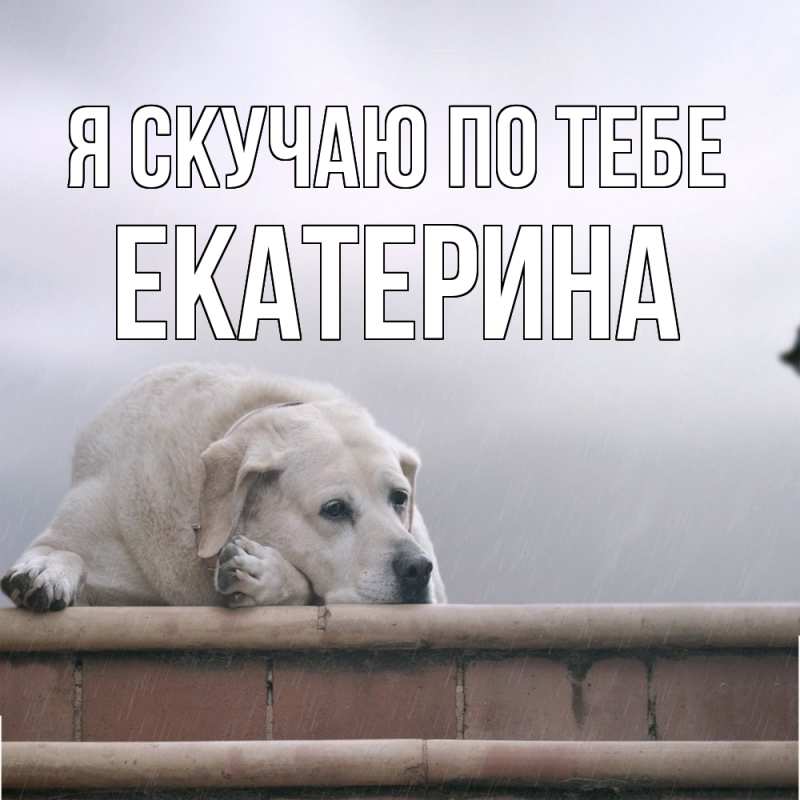 Картинка Я скучаю по тебе, Екатерина