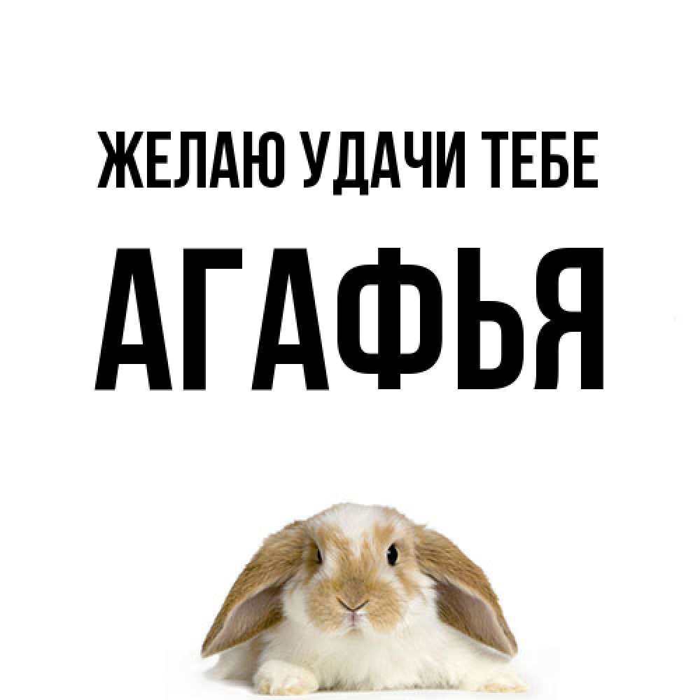 Открытка  с именем. Агафья, Желаю удачи тебе  