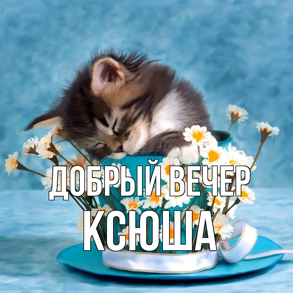 Открытка  с именем. Ксюша, Добрый вечер  