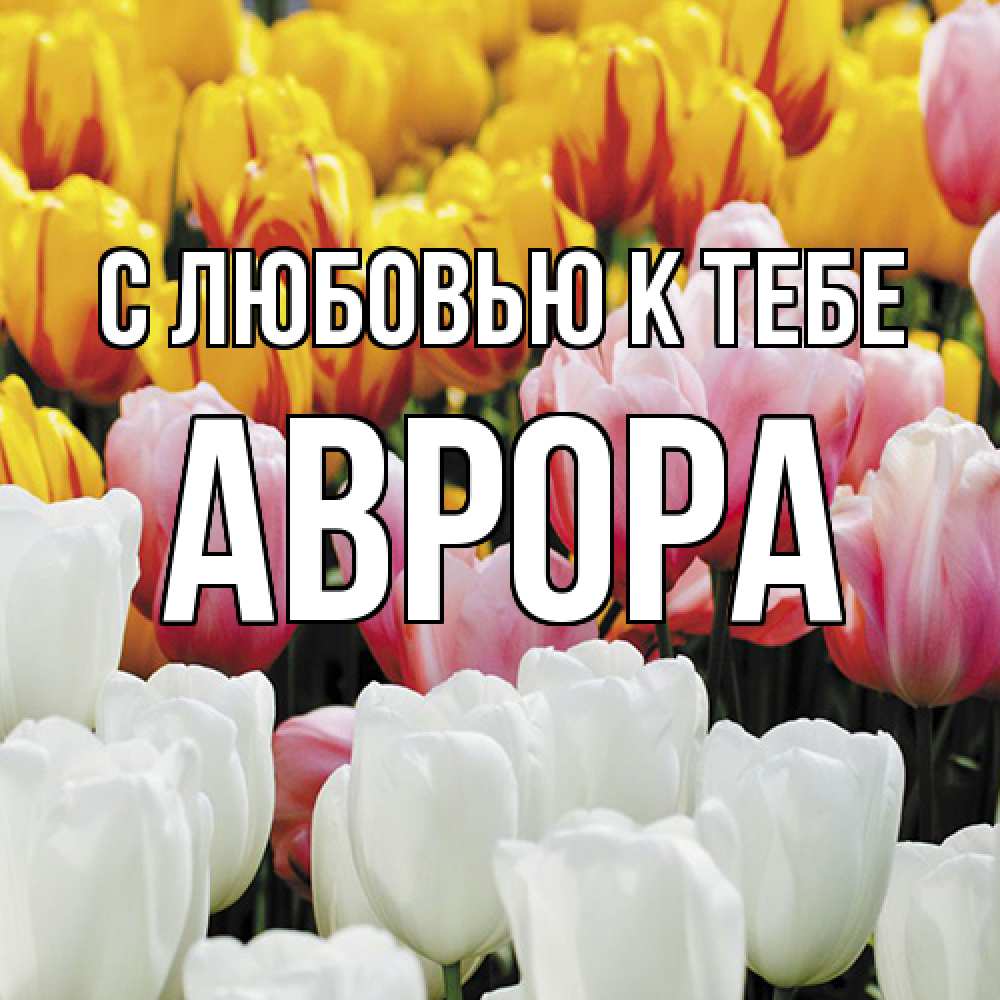 Открытка  с именем. Аврора, С любовью к тебе  