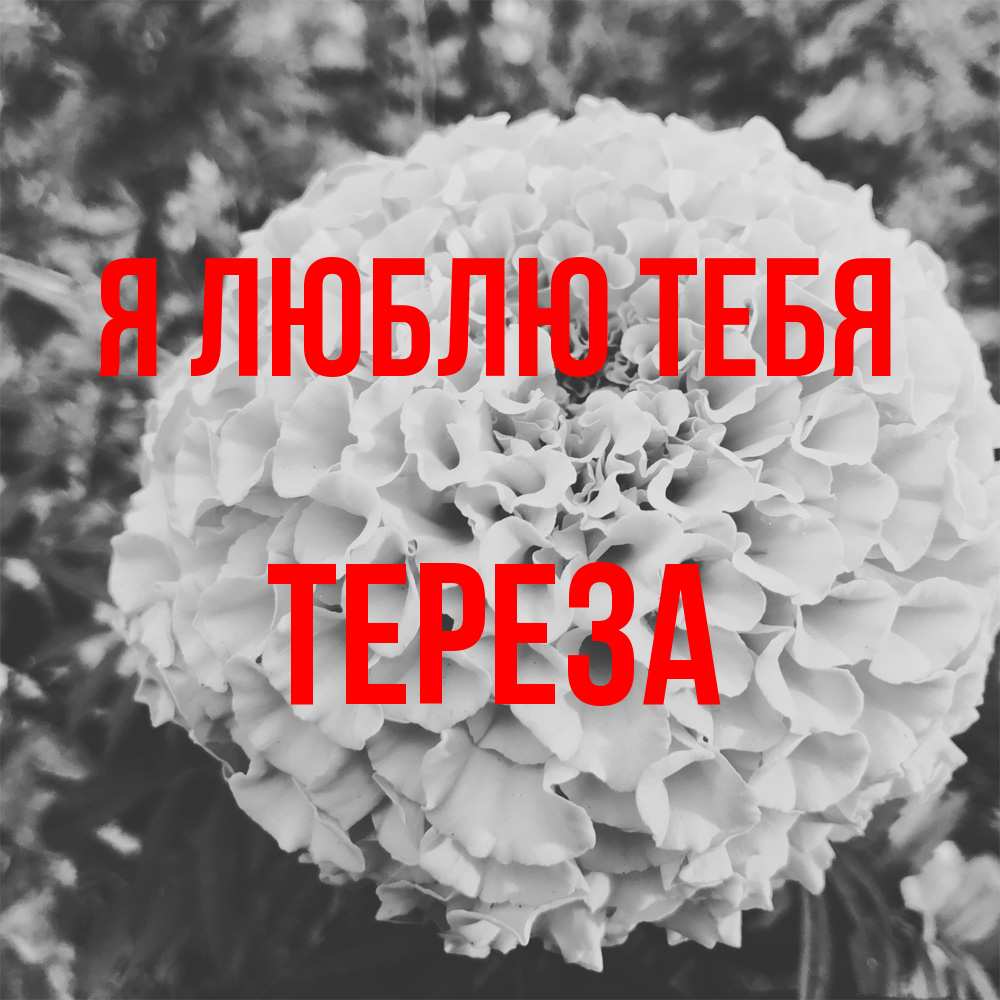 Открытка  с именем. Тереза, Я люблю тебя  