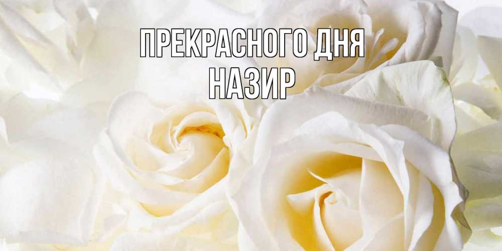 Открытка  с именем. Назир, Прекрасного дня  
