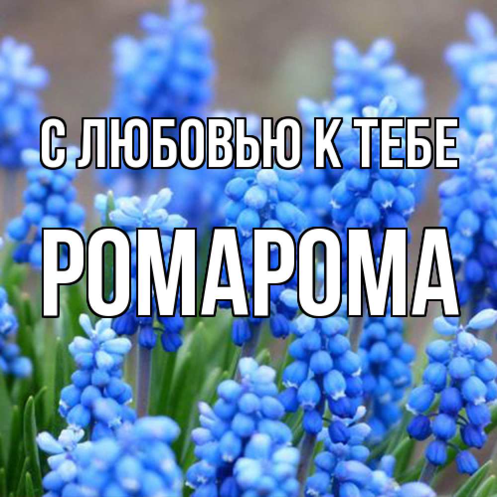 Открытка  с именем. РомаРома, С любовью к тебе  