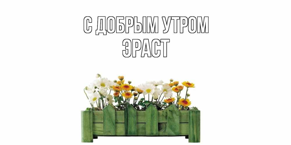 Открытка  с именем. Эраст, С добрым утром  