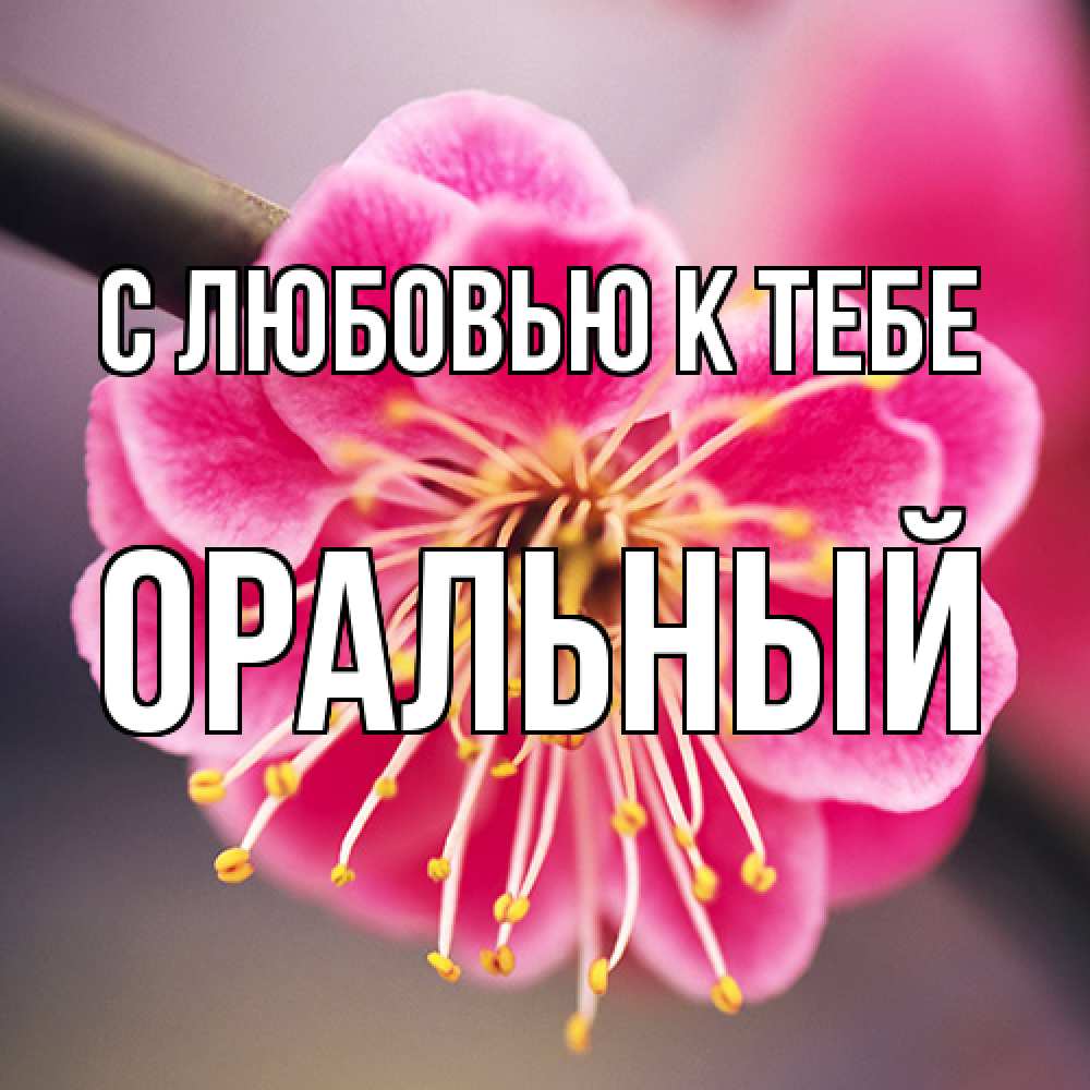 Открытка  с именем. ОРАЛЬНЫЙ, С любовью к тебе  