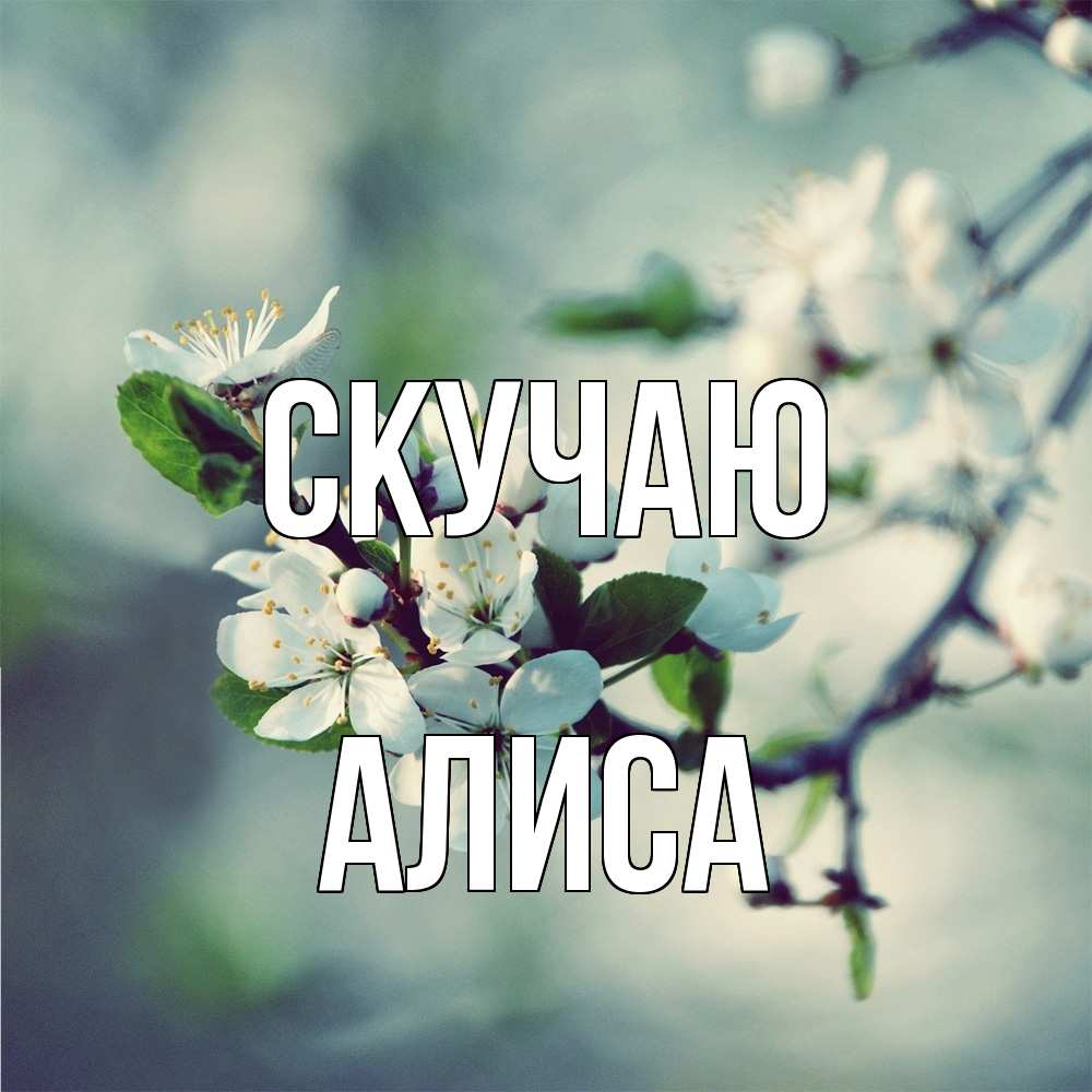 Открытка  с именем. Алиса, Скучаю  