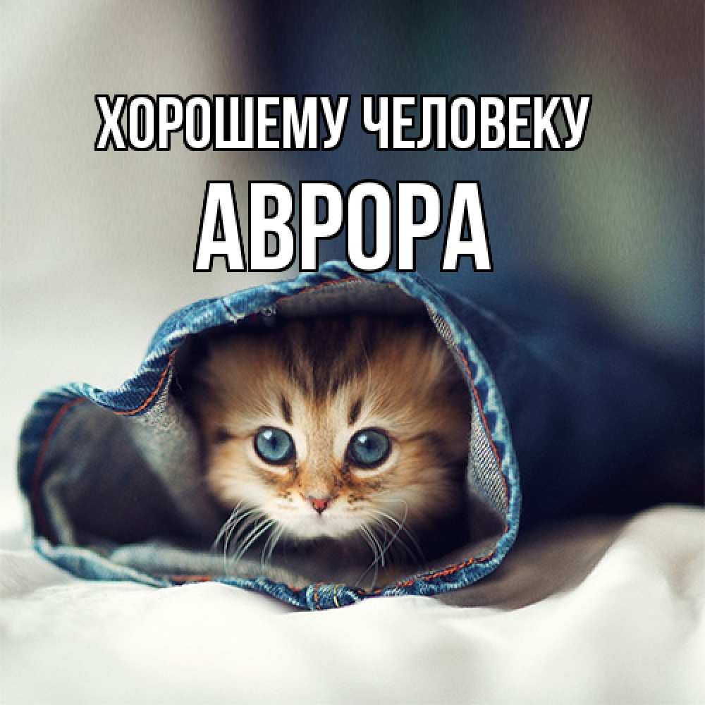 Открытка  с именем. Аврора, Хорошему человеку  