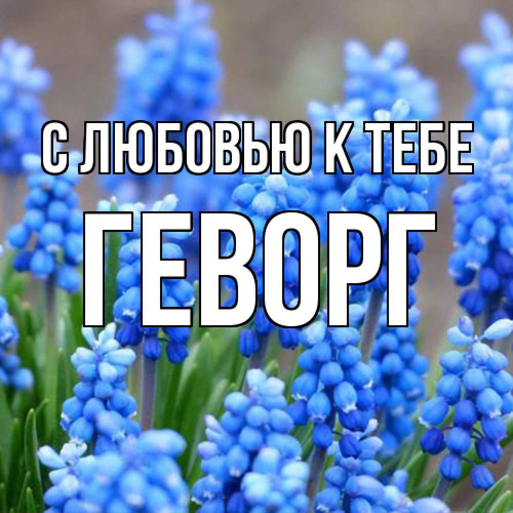 Открытка  с именем. Геворг, С любовью к тебе  
