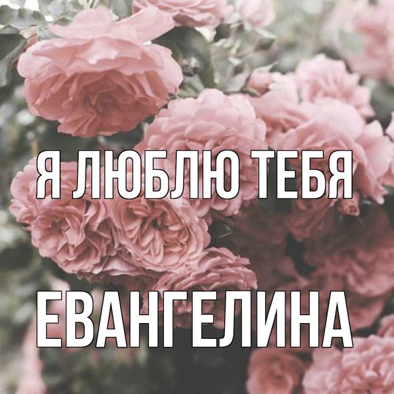 Картинка Я люблю тебя, Евангелина